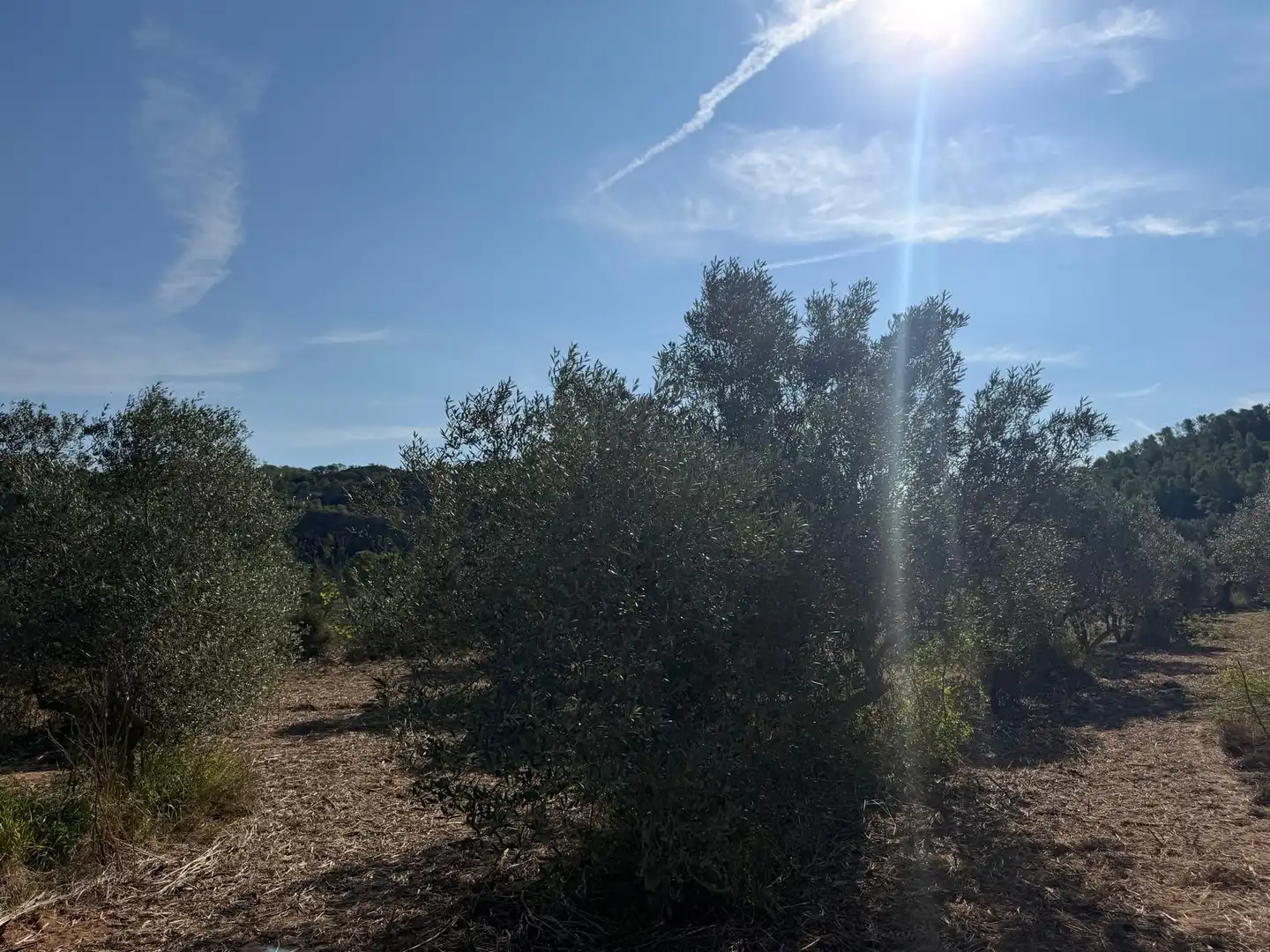 Residencial en venta en El Pinell de Brai
