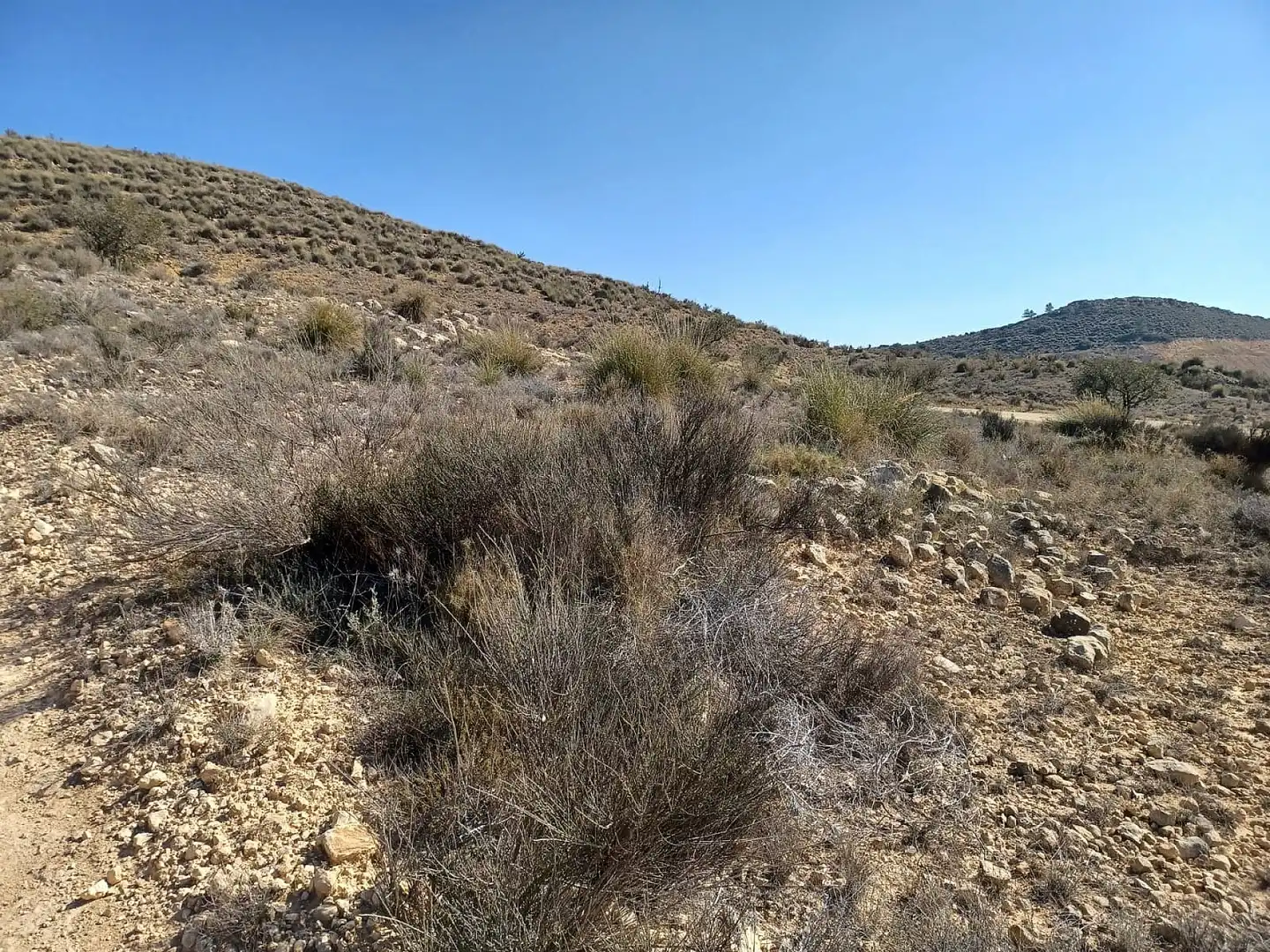 Terreno residencial en venta en El Pinós / Pinoso, imagen 8