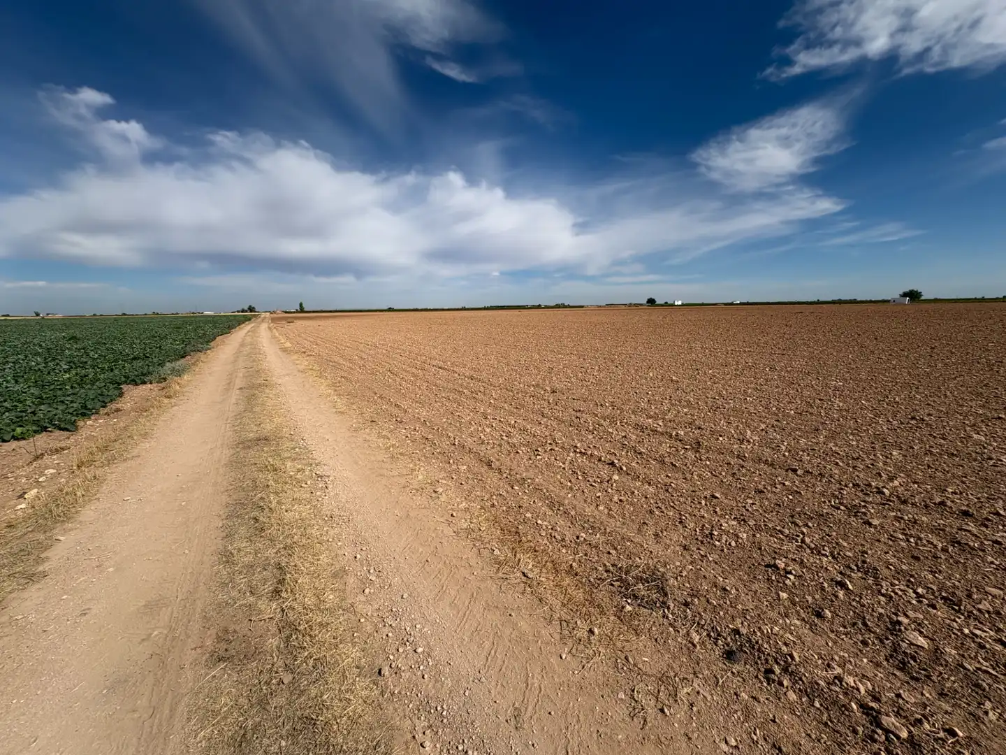 Rural land for sale in CM-400 580, imagen 21