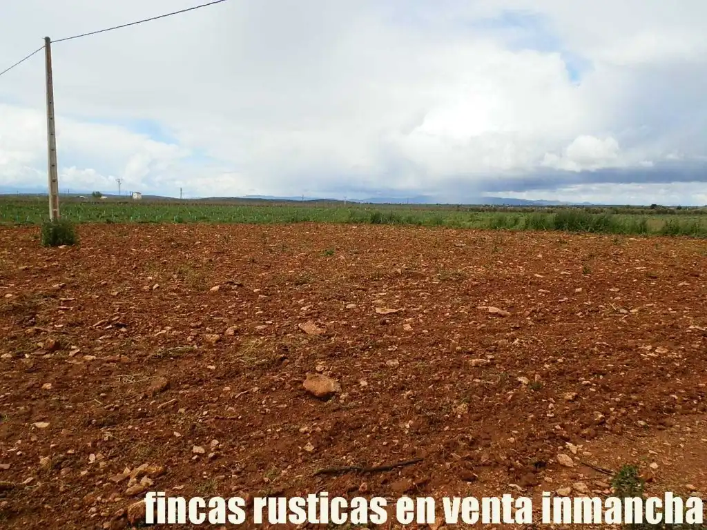Terreno rustico in vendita a Pozuelo de Calatrava, imagen 4