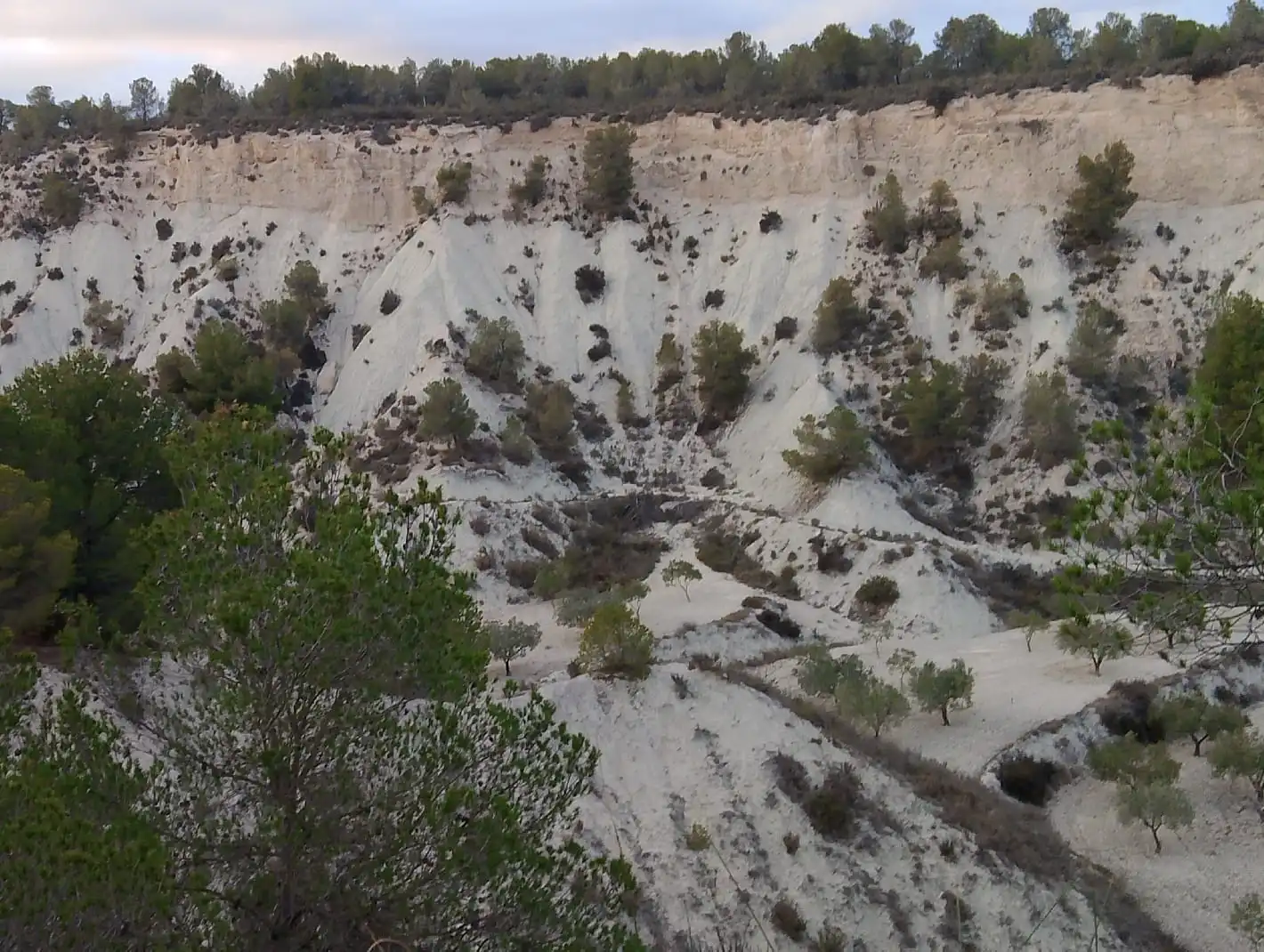Terreno rustico in vendita a N/A, imagen 19
