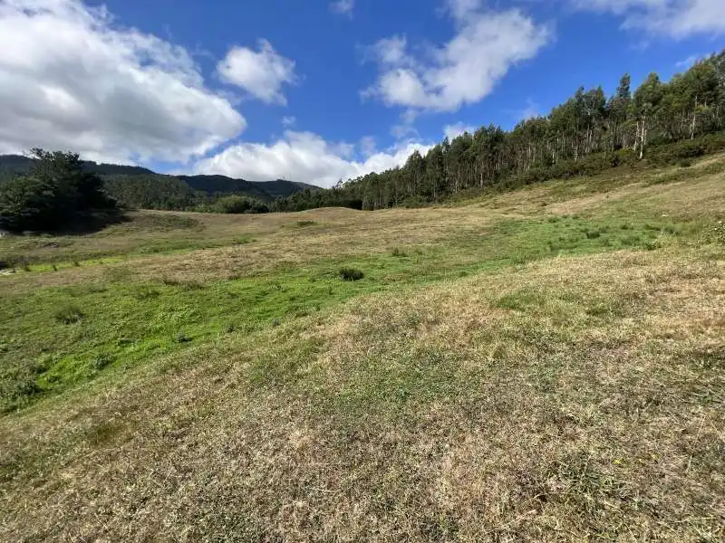 Finca rústica en venda en Llanera
