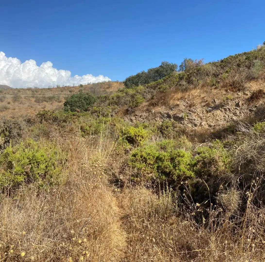 Rural land for sale in Cártama pueblo, imagen 9