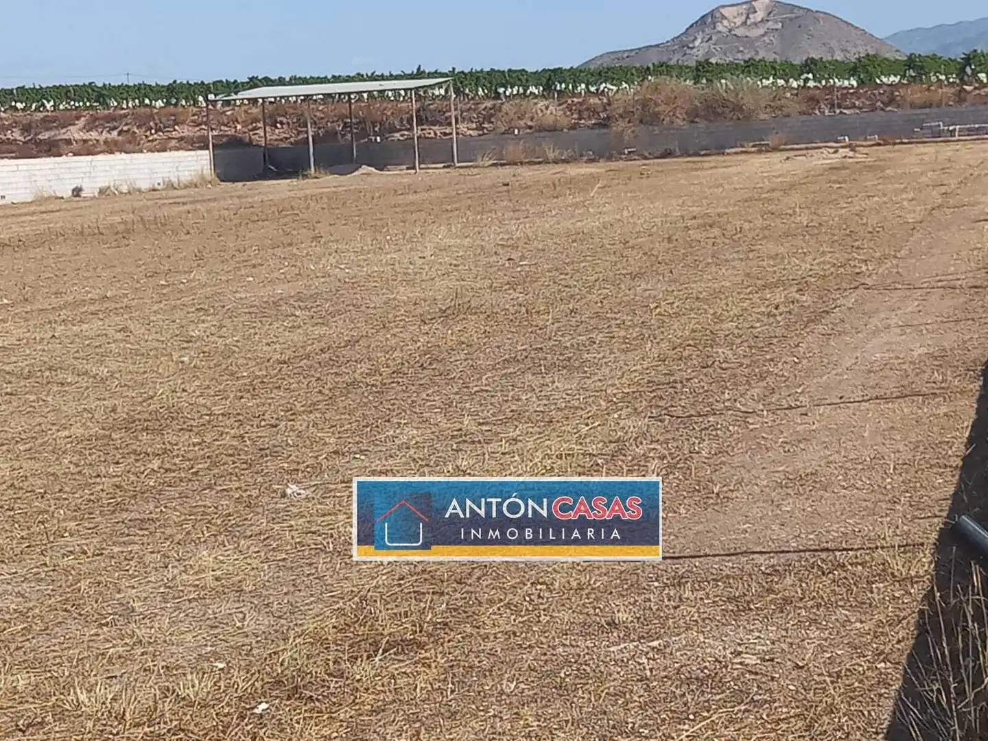 Rural land for sale in Novelda, imagen 7