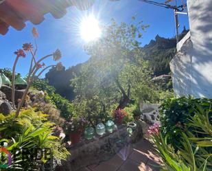 Jardí de Finca rústica en venda en Tejeda amb Terrassa