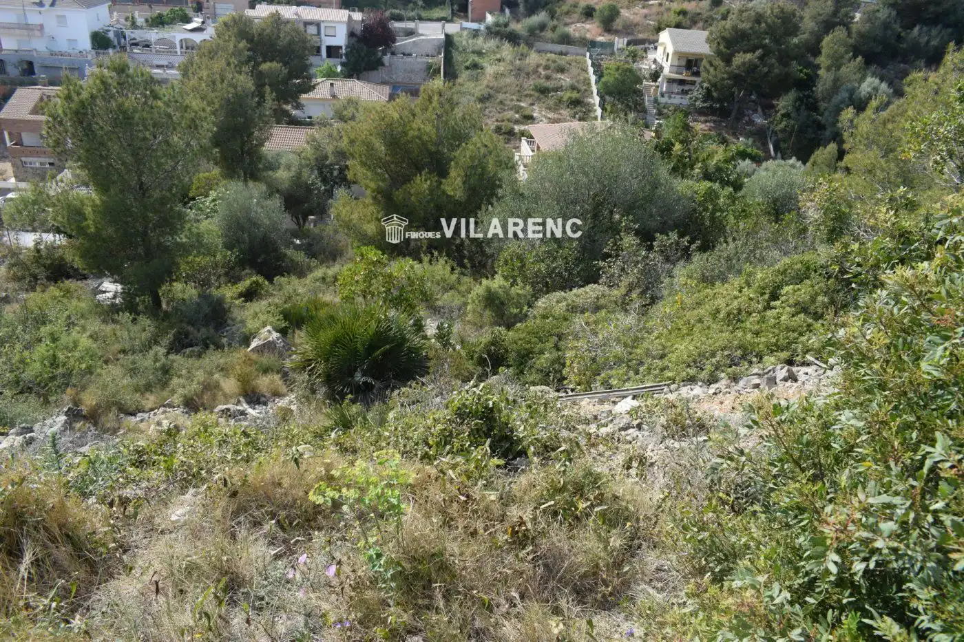 Terreny rústic en venda a SANTA MARIA DE MONTSERRAT, imagen 3