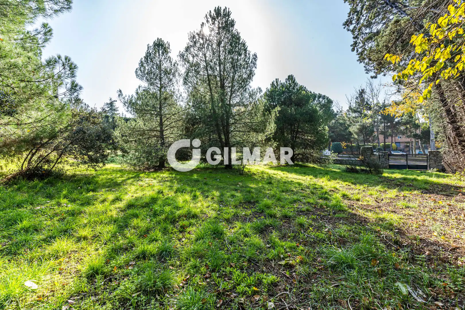 Casa o xalet en venda en Monte Rozas