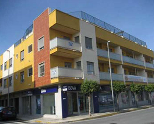 Exterior view of Garage for sale in Benejúzar