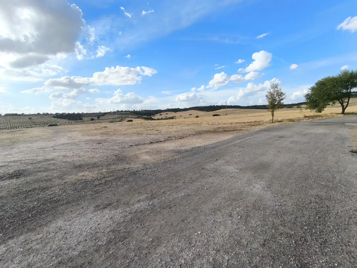 Wohnbaugrundstück zum Verkauf in Ribatejada, imagen 5