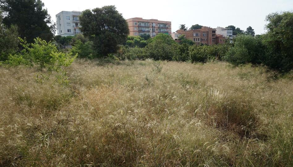 Photo 1 of Country house for sale in Extrarradio Sra. de Gener, Les Borges del Camp, Tarragona