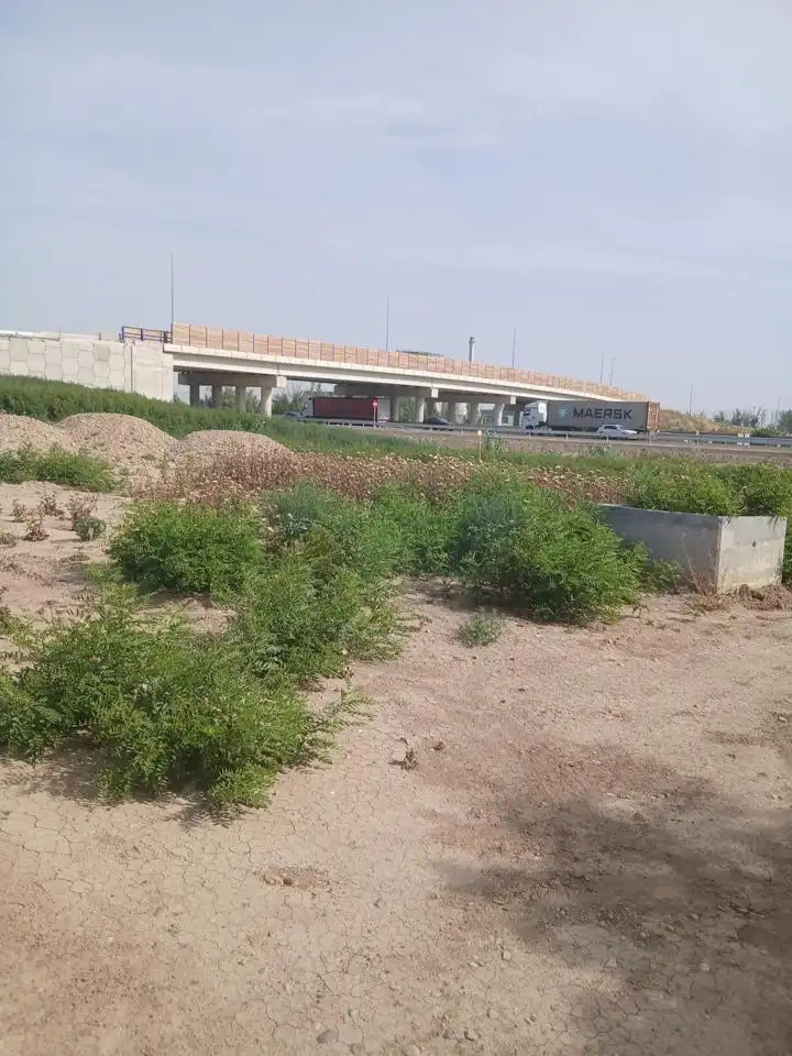 Rural land for sale in El Espartal, imagen 2
