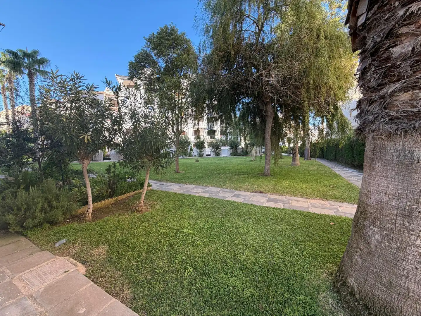 Garten von Wohnungen zur Miete in Torrevieja mit Privatgarten, Terrasse und Möbliert