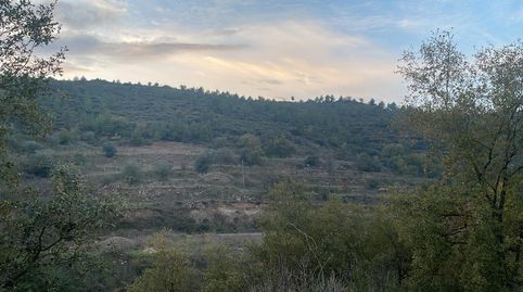 TERRENO RUSTICO, immagine 3