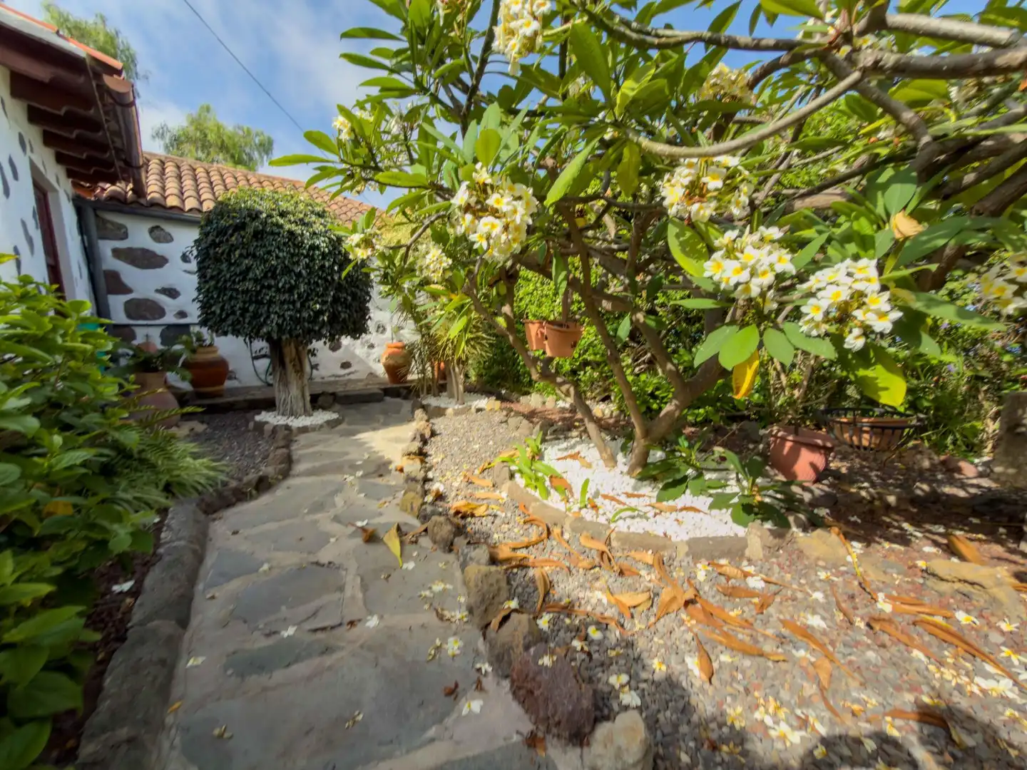 Jardí de Casa o xalet en venda en Icod de los Vinos