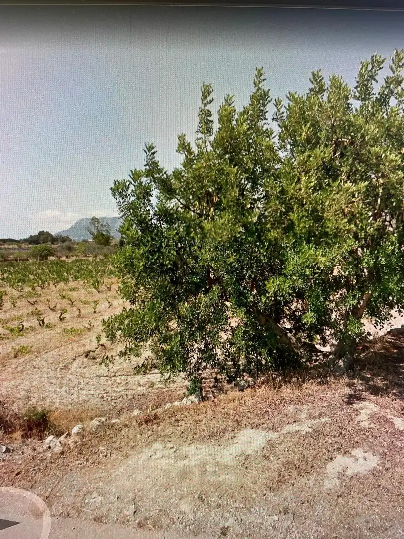 Rural land for sale in Benissa pueblo, imagen 4