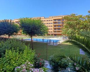 Swimming pool of Flat to rent in Rivas-Vaciamadrid  with Terrace