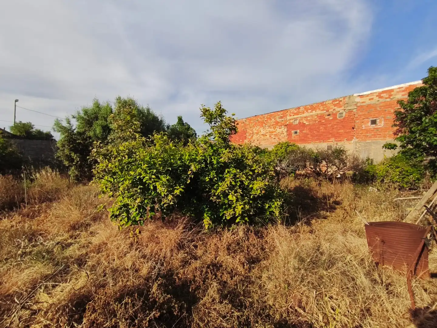 Land for sale in Valencia