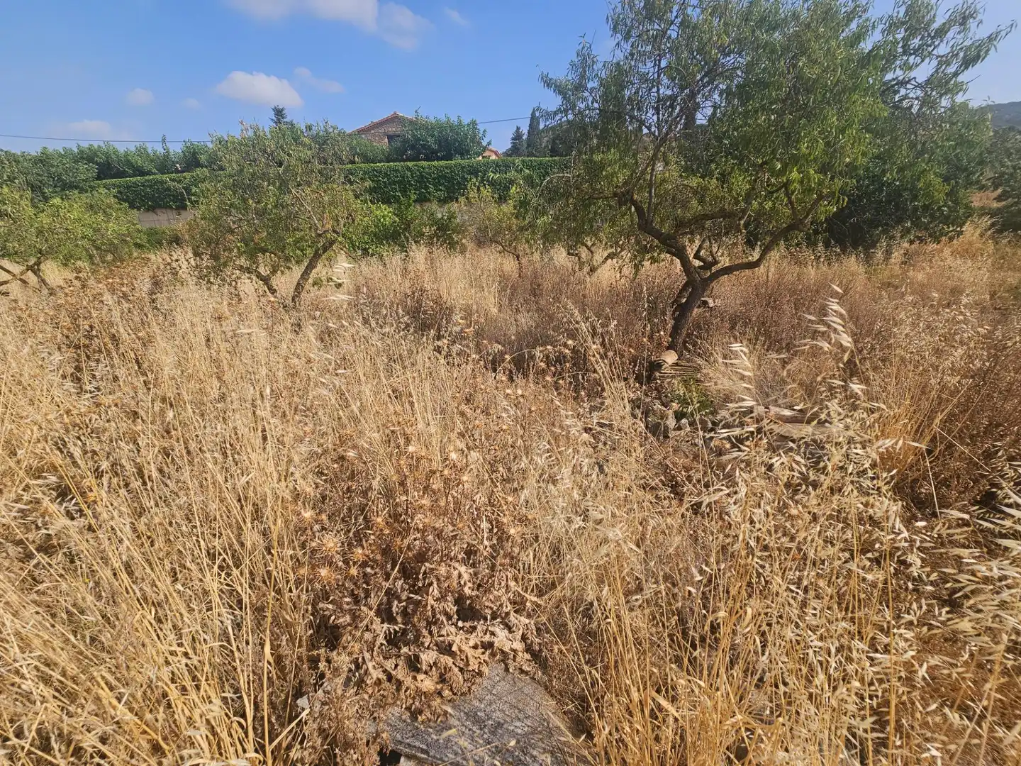 Finca rústica en venda en Os de Balaguer amb Traster i Balcó