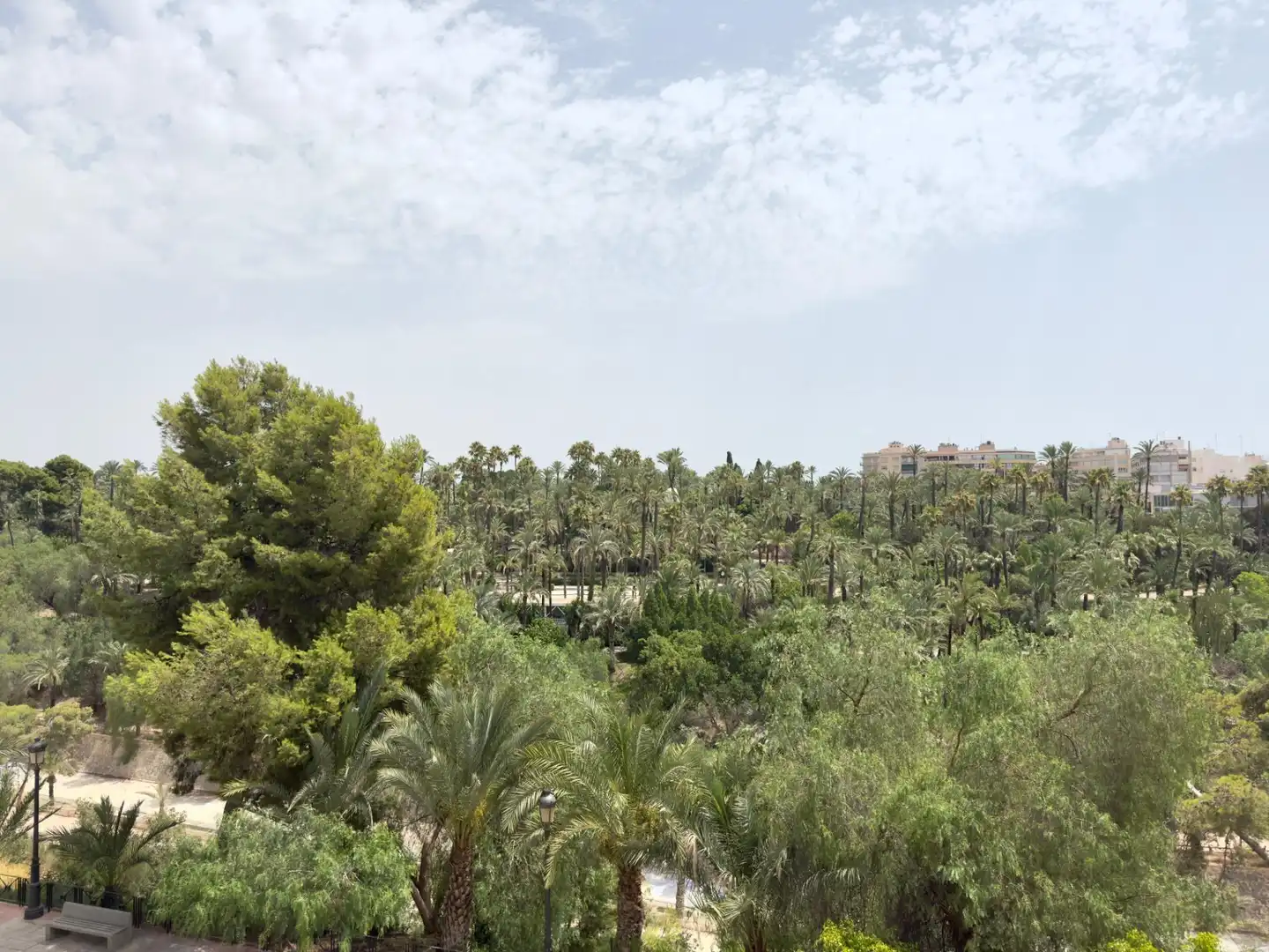 Jardí de Pis de lloguer en Elche / Elx amb Calefacció, Moblat i Balcó