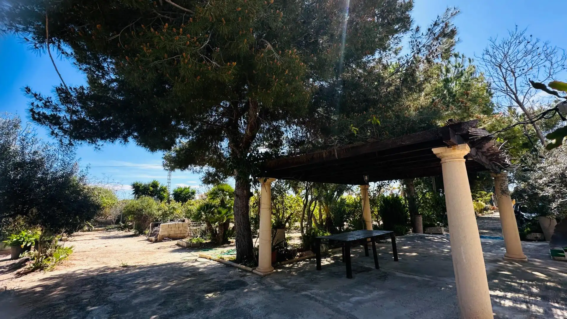 Jardí de Casa o xalet en venda en Elche / Elx amb Jardí privat, Traster i Piscina