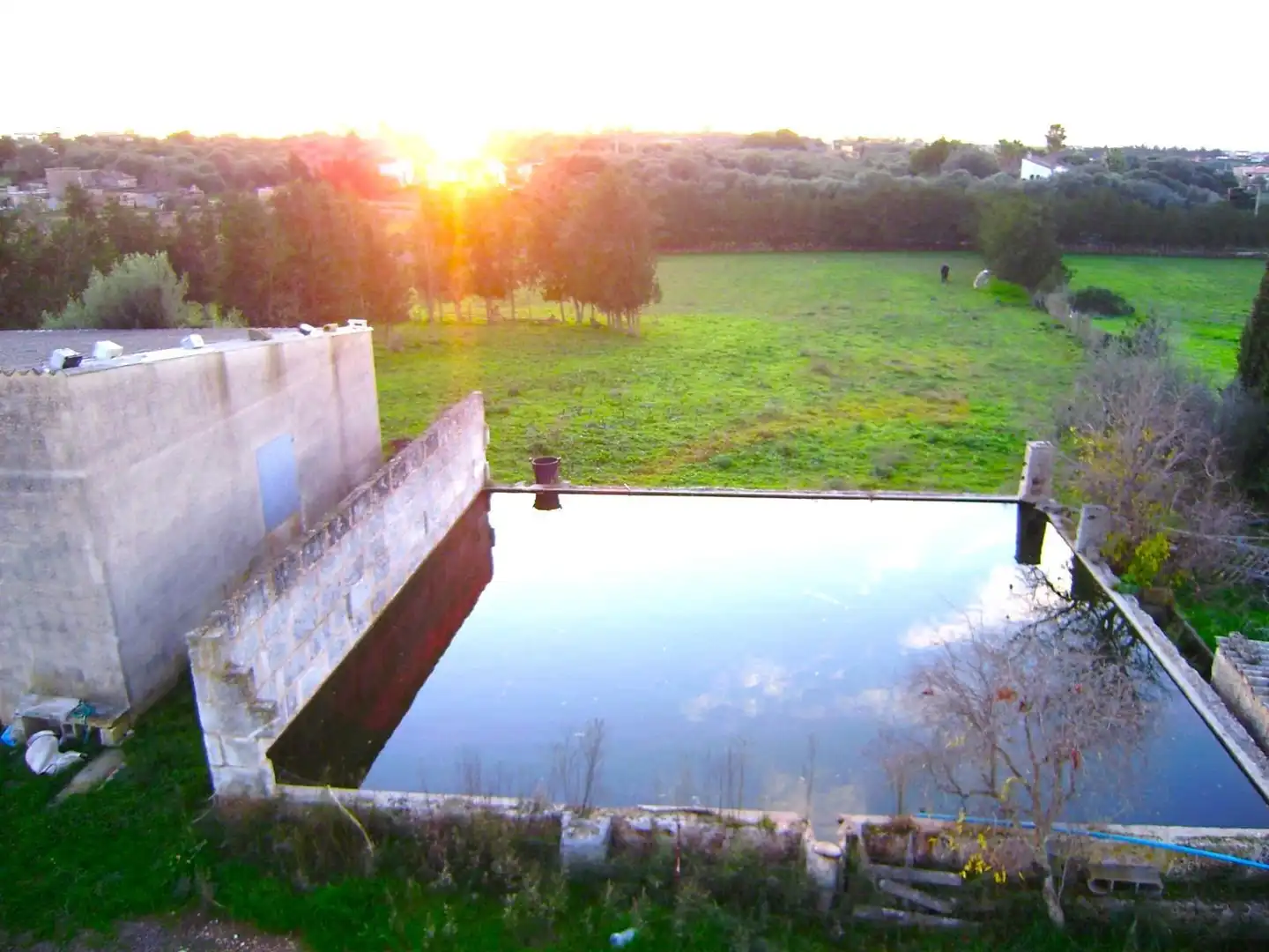 Country house with pool for sale in Muro, imagen 2