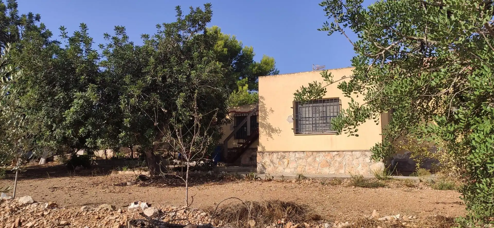 Finca rústica en venda a Eucaliptus - Poble Nou del Delta