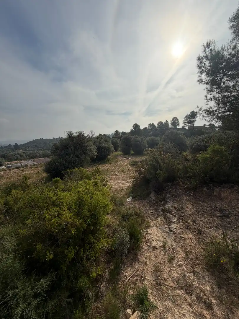 Terreno rustico in vendita a Ascó, imagen 8