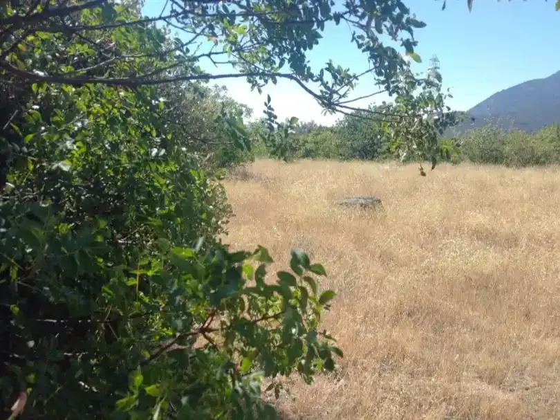 Finca rústica en venda en El Tiemblo 
