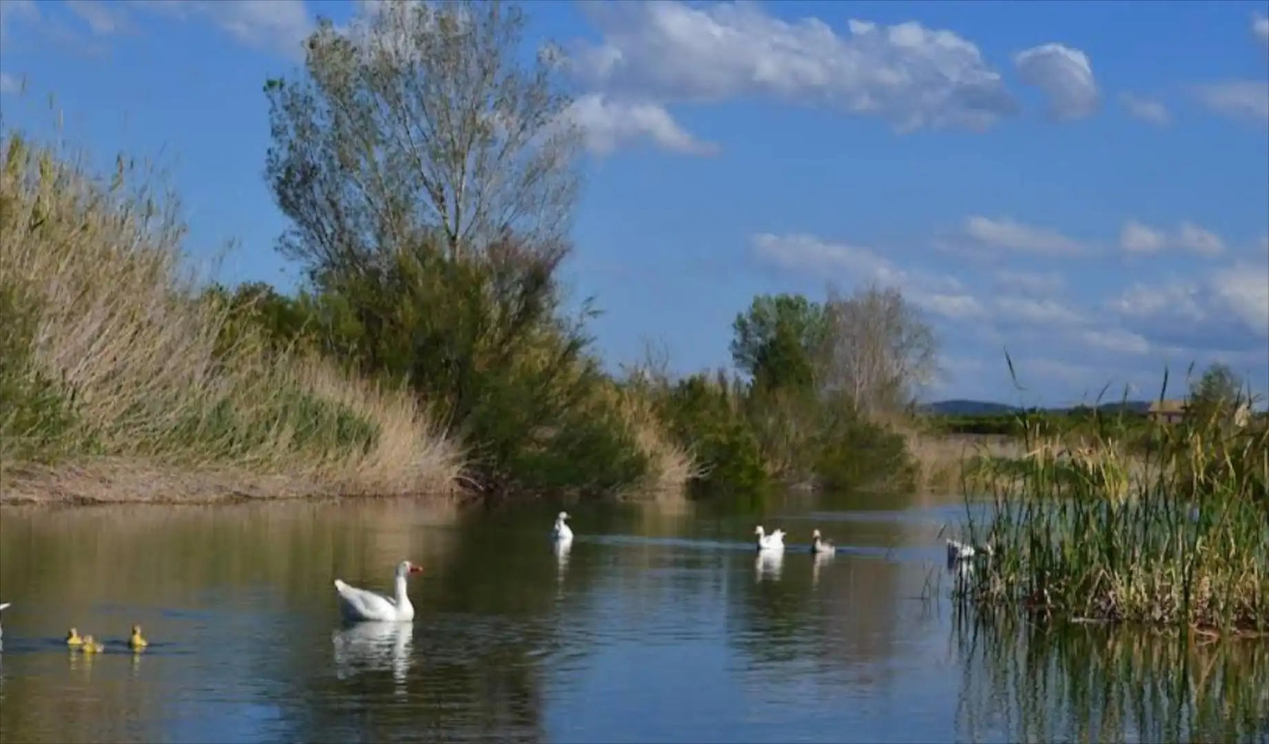 Terrain résidentiel à vendre à Sumacàrcer, imagen 19