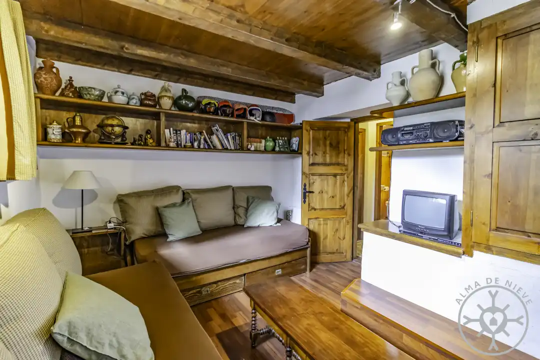 Living room of Detached homes for sale in Naut Aran  with Terrace and Furnished