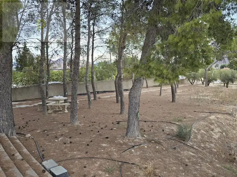 Villa avec piscine à vendre à Calle de Peleteria 8, imagen 10