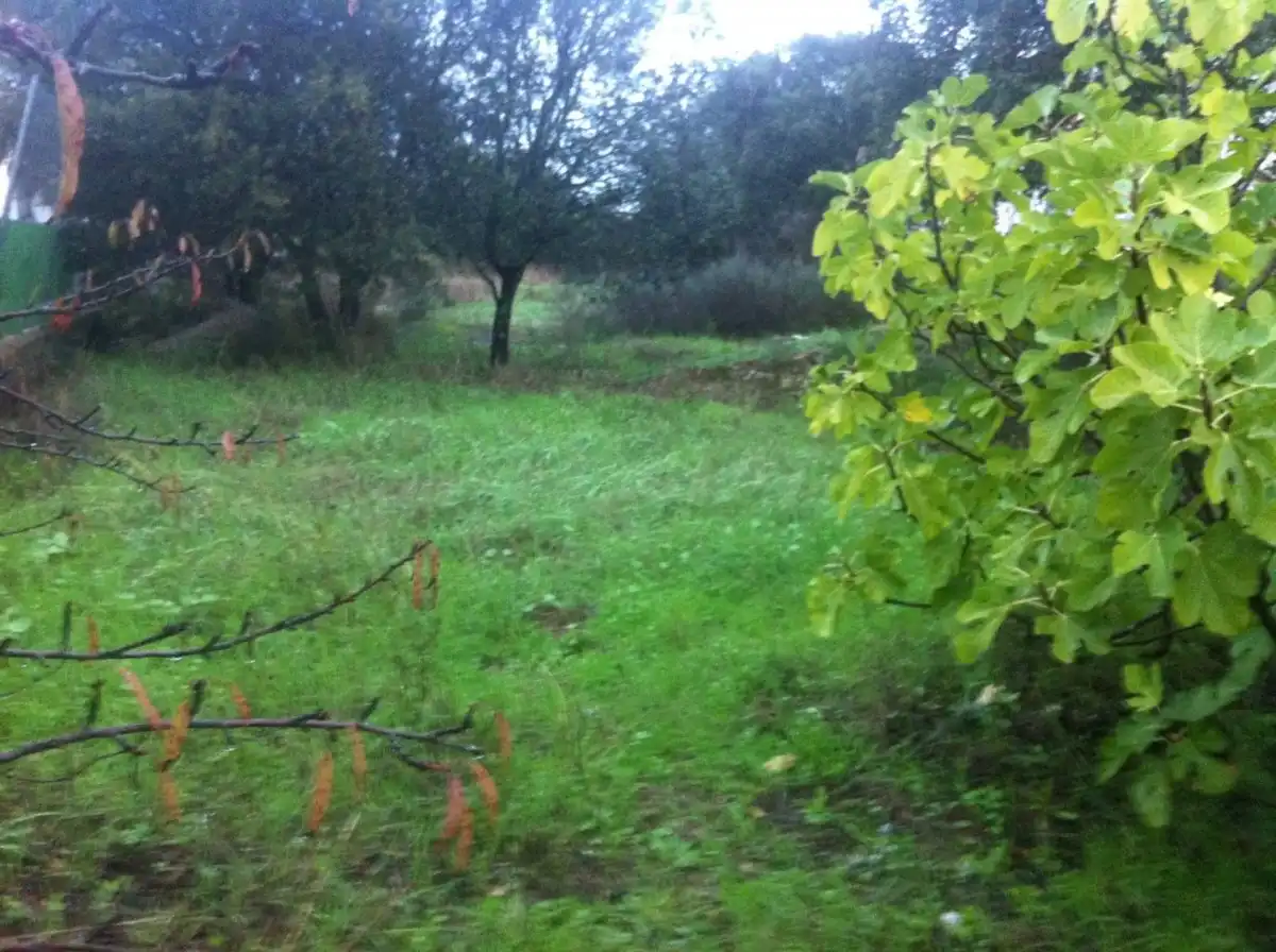 Terrenos y solares en venta en Malpartida de Cáceres, imagen 3