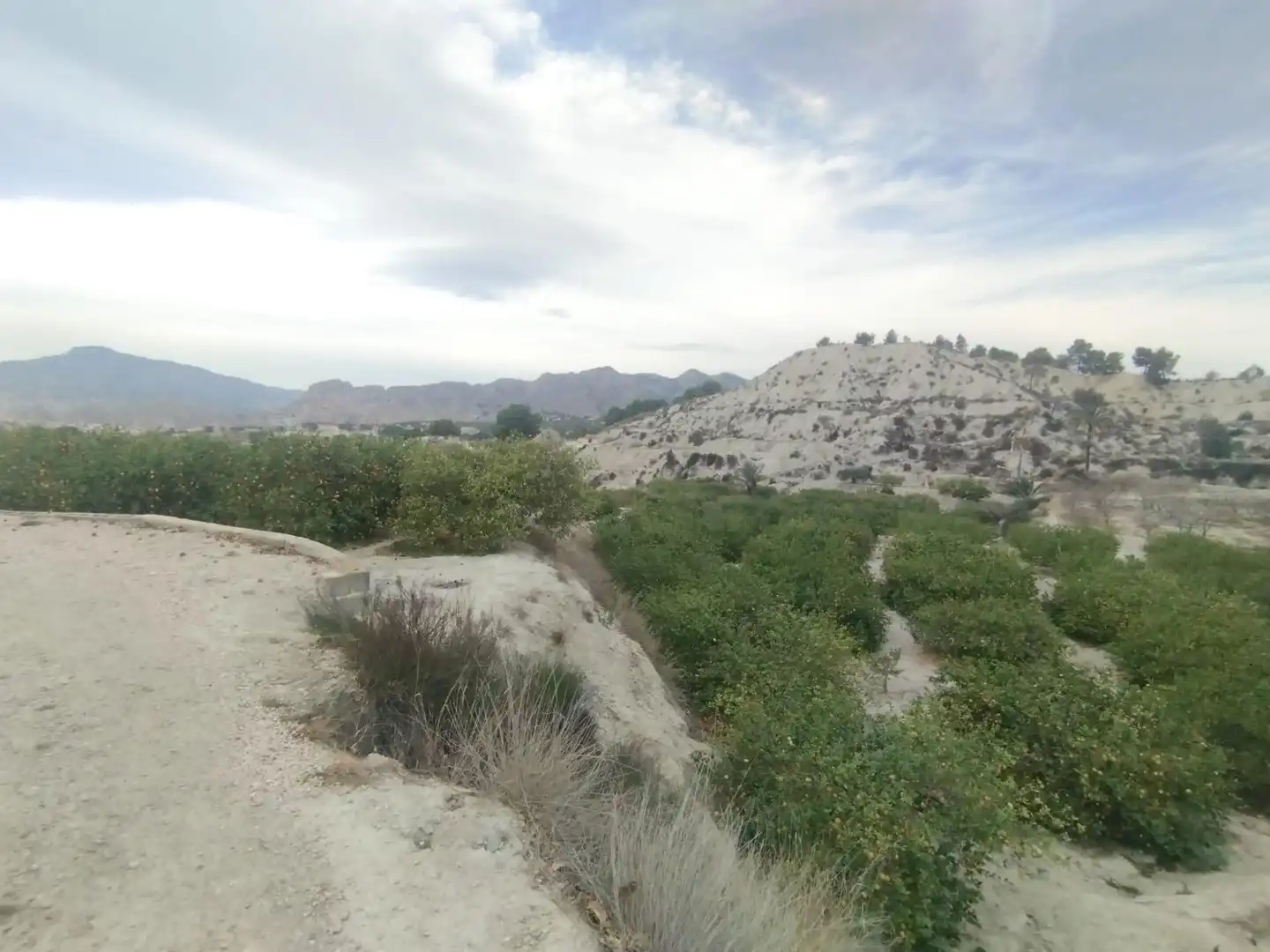 Terreno en venta en Ulea