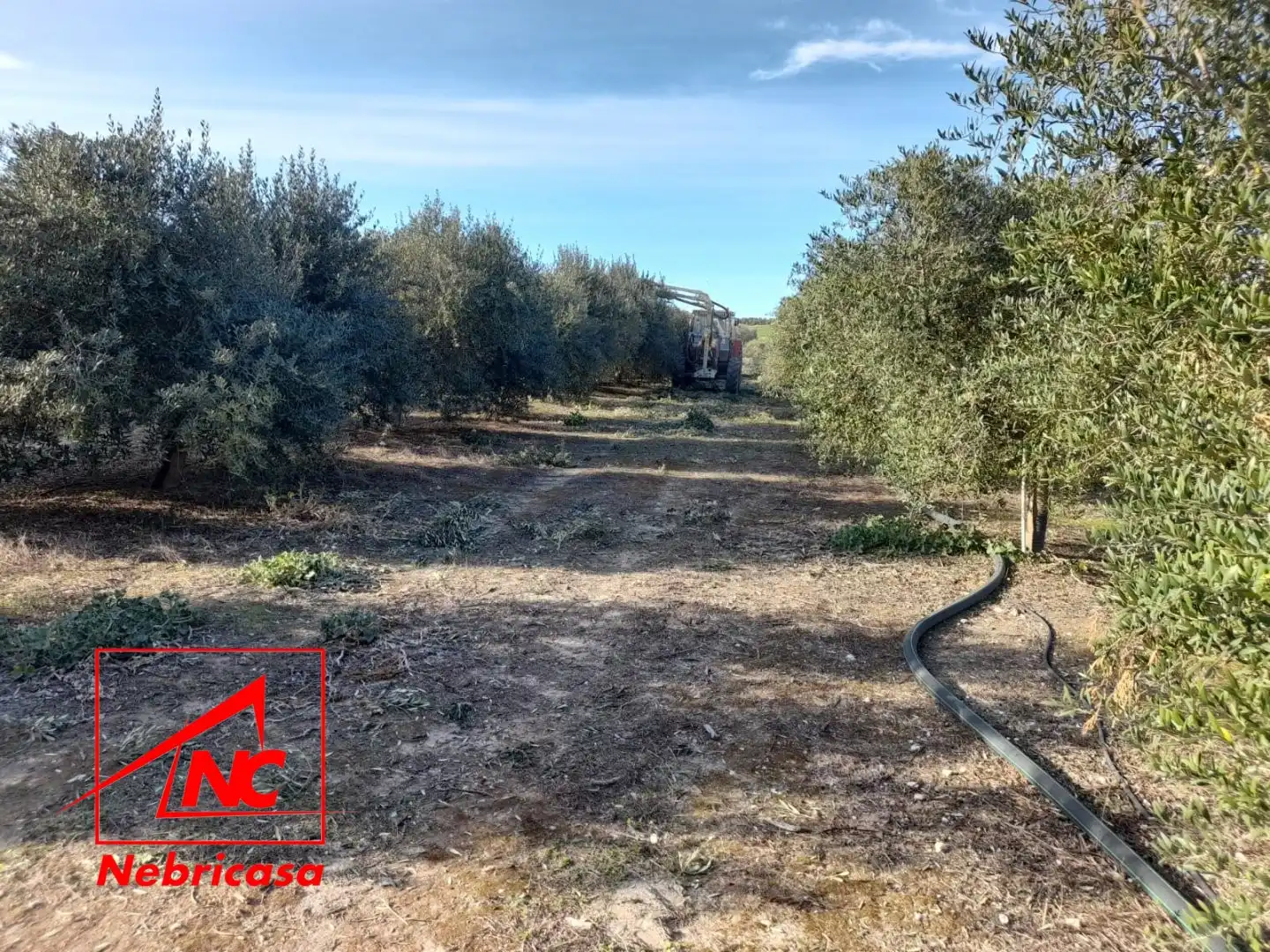 Terreni e lotti in vendita a Lebrija, imagen 7