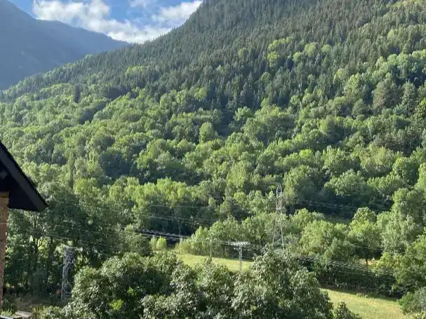 Vista exterior de Pis de lloguer en Naut Aran amb Parquet, Traster i Moblat