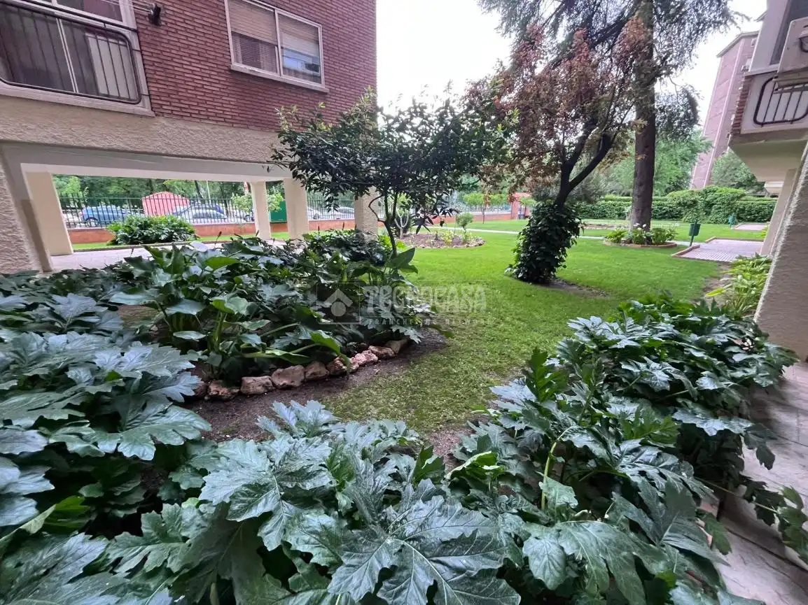 Jardí de Pis en venda en Torrejón de Ardoz amb Calefacció i Piscina
