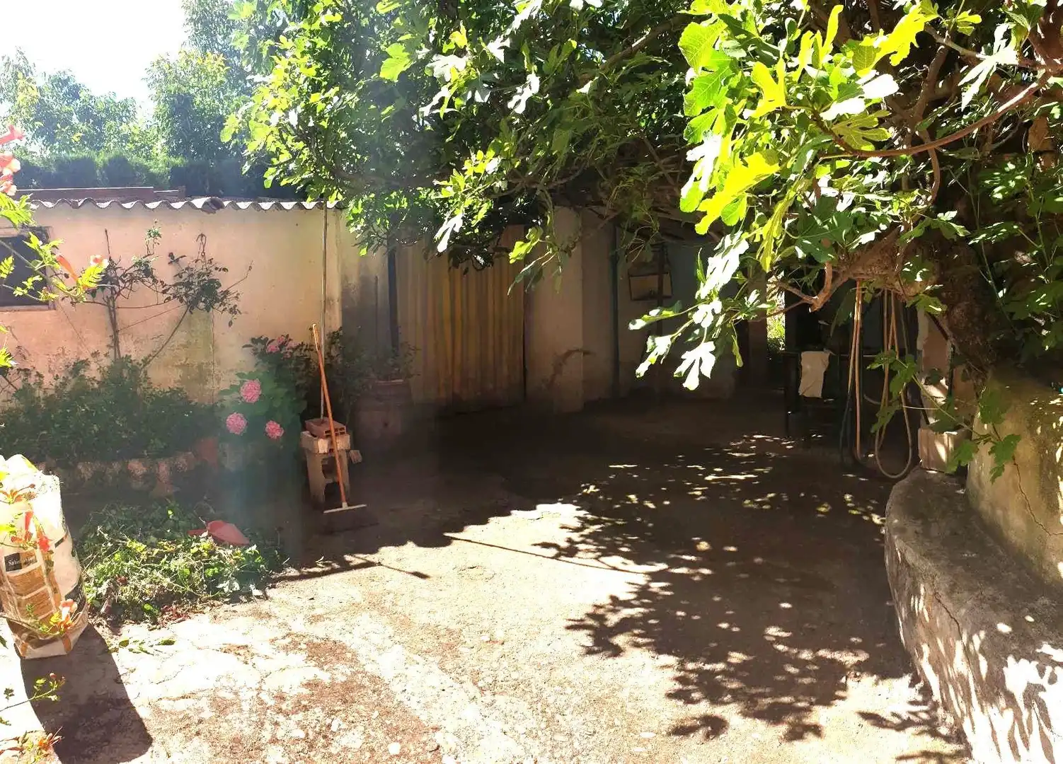 Jardín de Casa o chalet en venta en Tobed con Jardín privado y Trastero