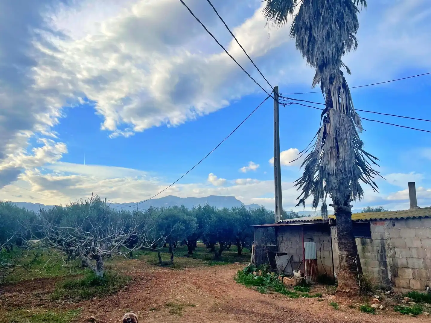 Casa o chalet en venta en Tortosa