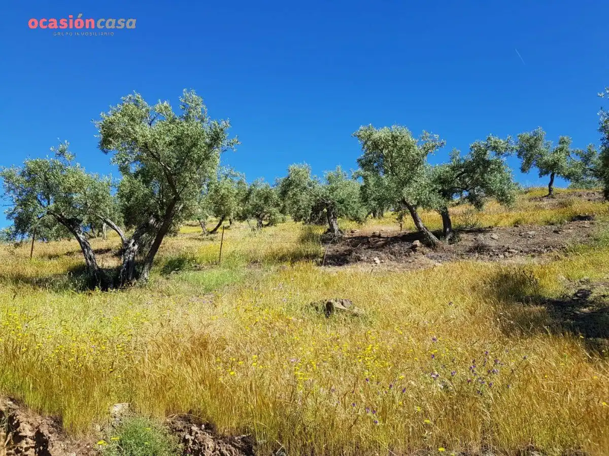 Finca rústica en venta en Villanueva de Córdoba con Jardín privado, Trastero y Amueblado