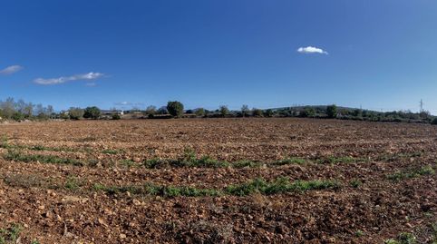 Photo 2 of Land for sale in Ma-3321, Manacor Centre, Manacor