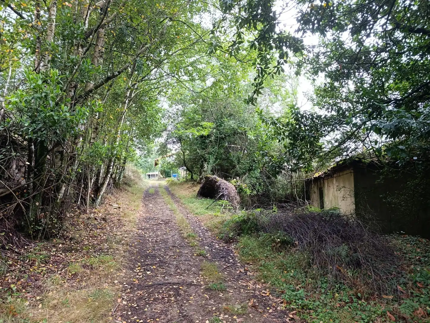 Country homes for sale in Pravia