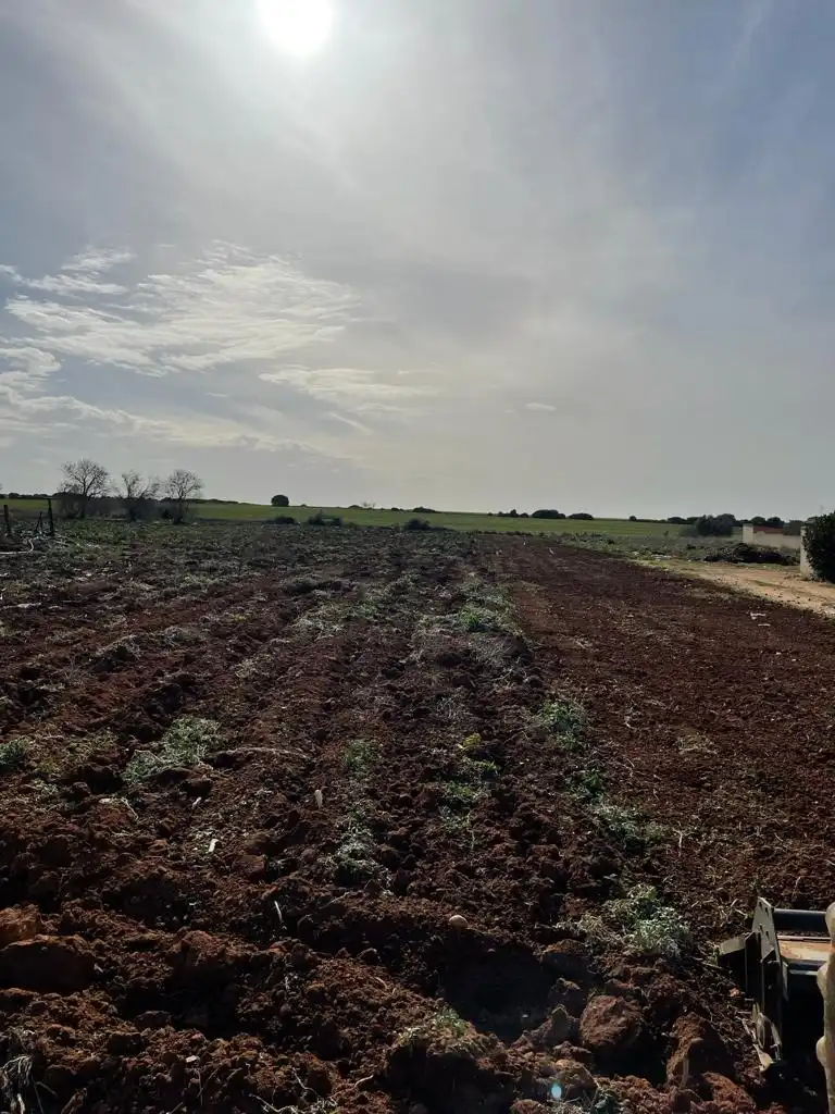 Rural land for sale in Barrio Nuevo, imagen 2