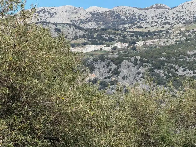 Land for sale in Ubrique