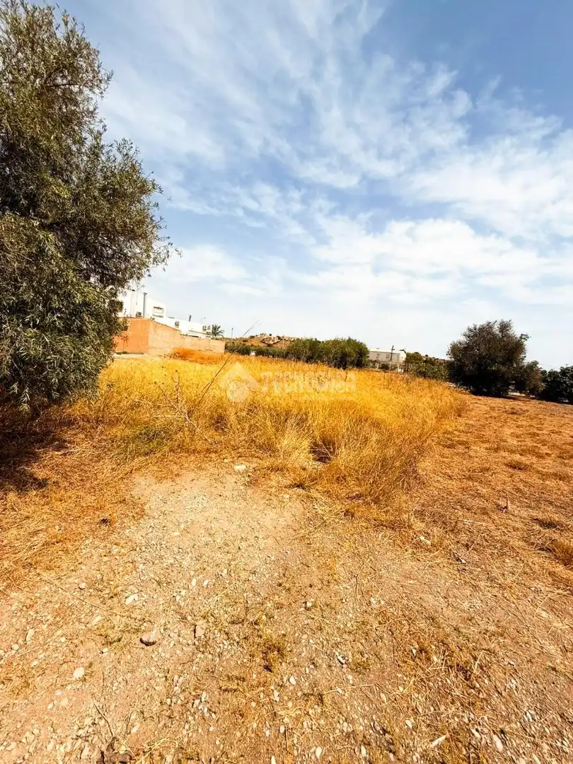 Rural land for sale in Turre, imagen 3