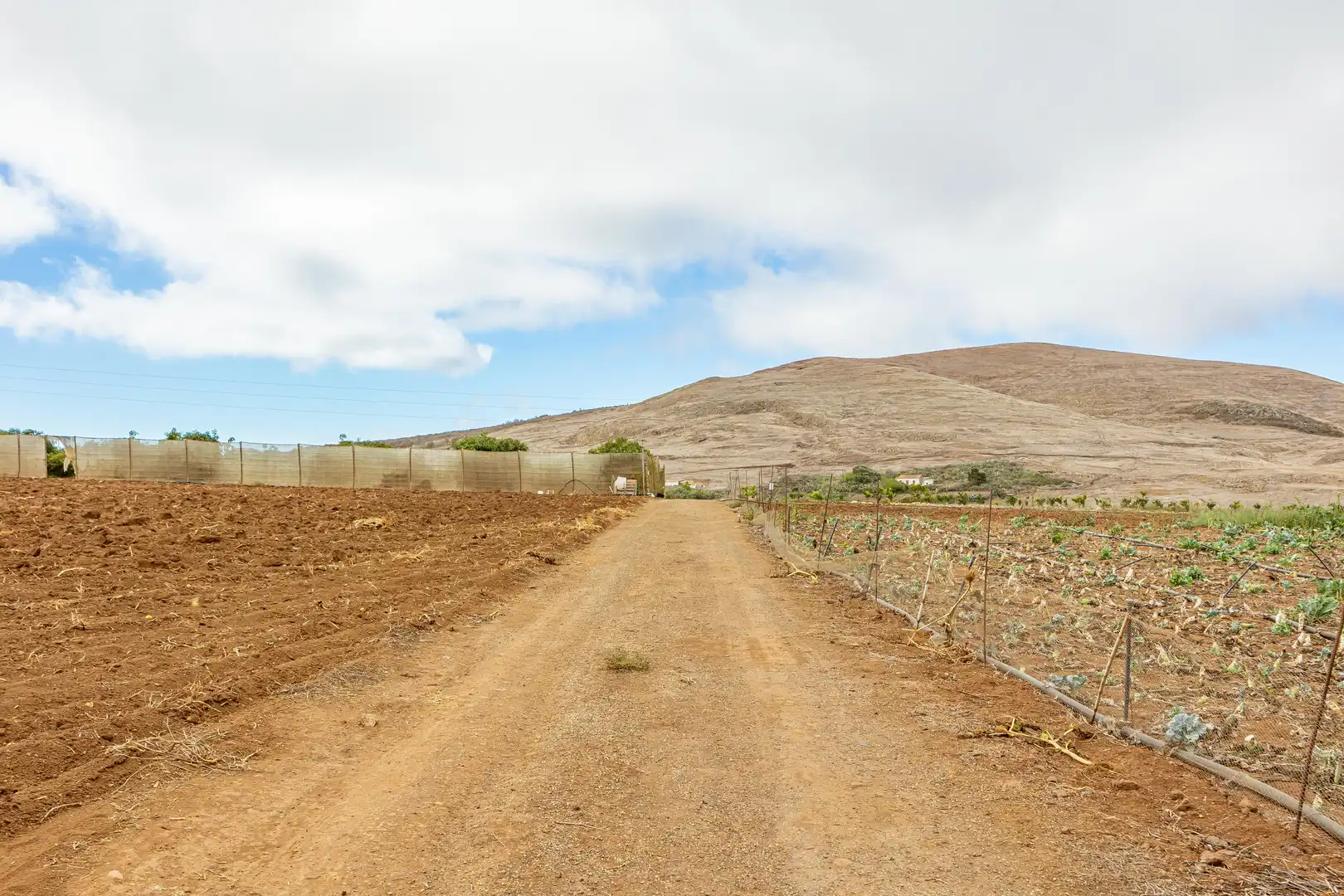 Residencial en venta en Lugar Lomo del Poleo, Saucillo - Fagajesto - Juncalillo