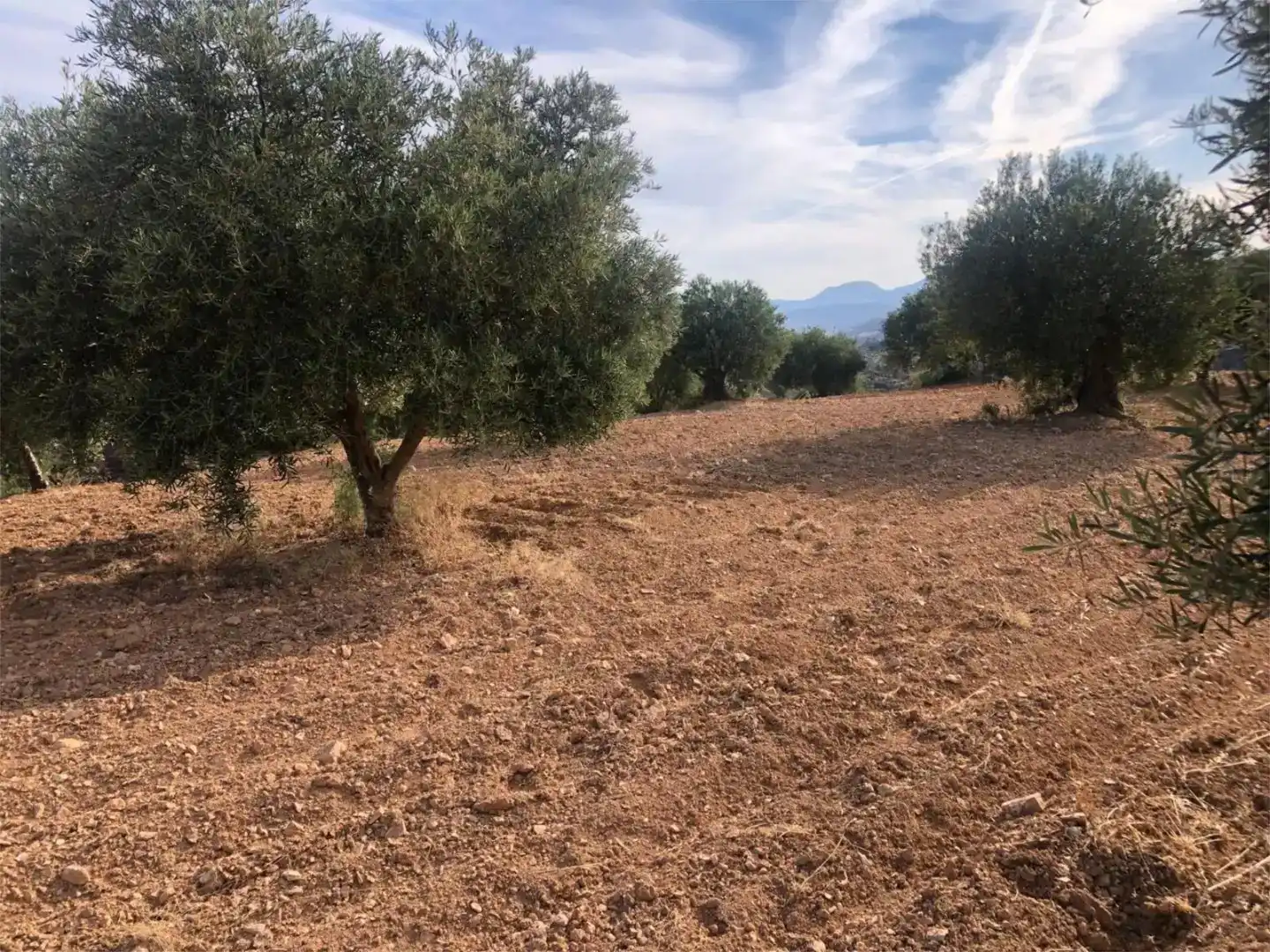 Piso en venta en Ardales