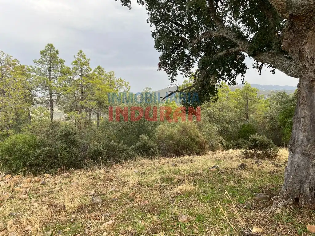 Country house for sale in Castañar de Ibor, imagen 5