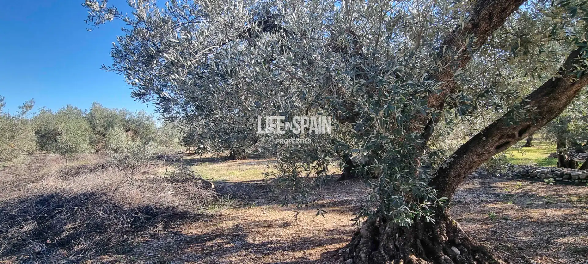 Country house for sale in Roquetes, imagen 8