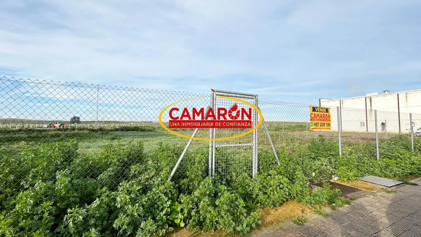 Lands and plots for sale in Salteras