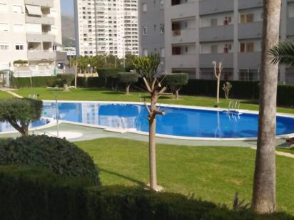 Piscina de Apartament en venda en Villajoyosa / La Vila Joiosa amb Jardí privat, Terrassa i Piscina comunitària